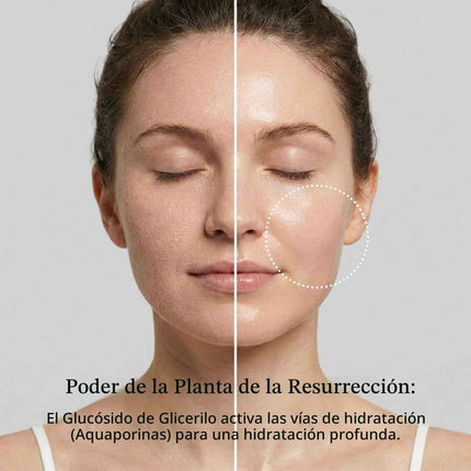 Round Lab Birch Juice Toner Hidratante con Savia de Abedul