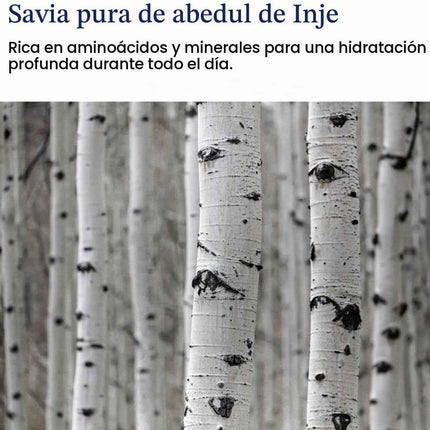 Round Lab Birch Juice Toner Hidratante con Savia de Abedul
