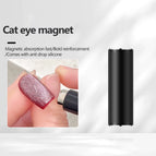 1Pcs Magnet